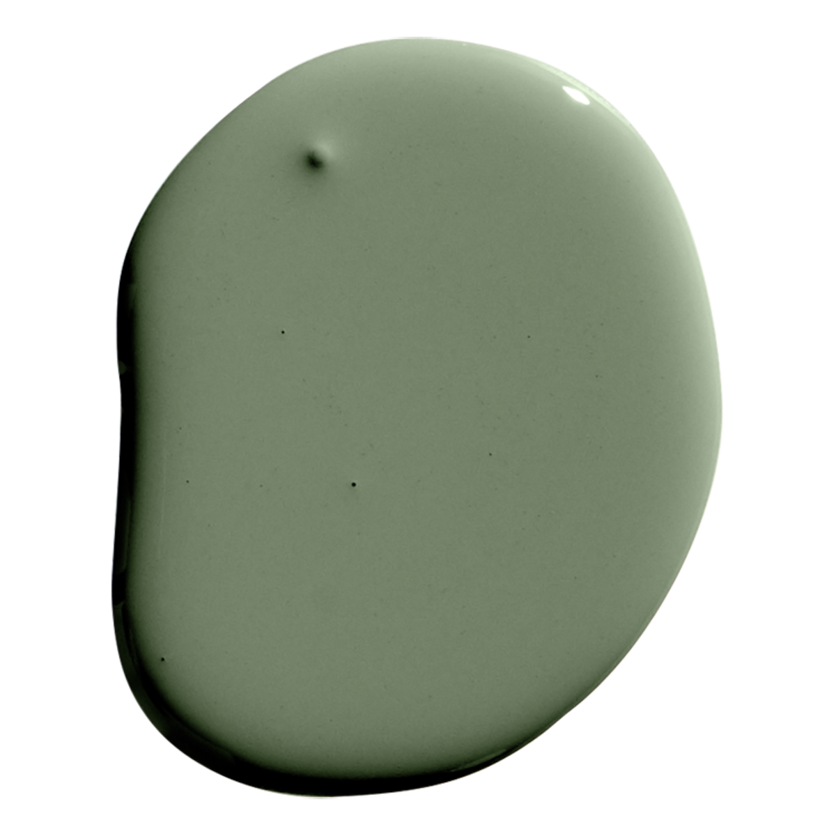 Night On Earth - Dark Olive Green Paint | Schumacher